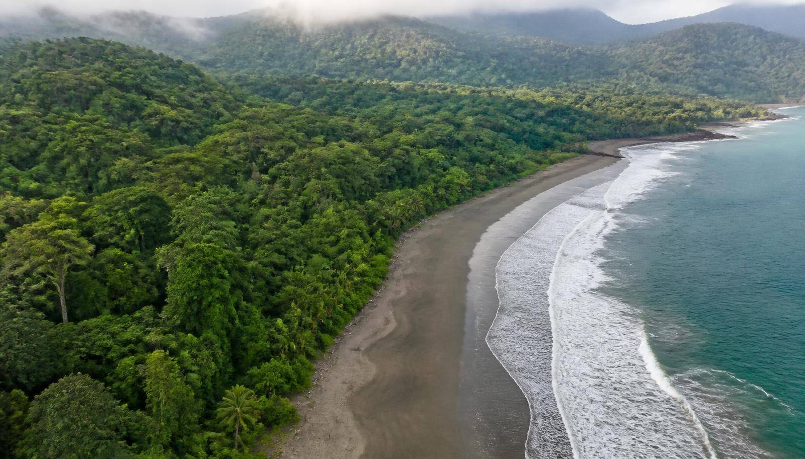 Corcovado National Park: Costa Rica's Last Great Wilderness (Osa Peninsula Guide)