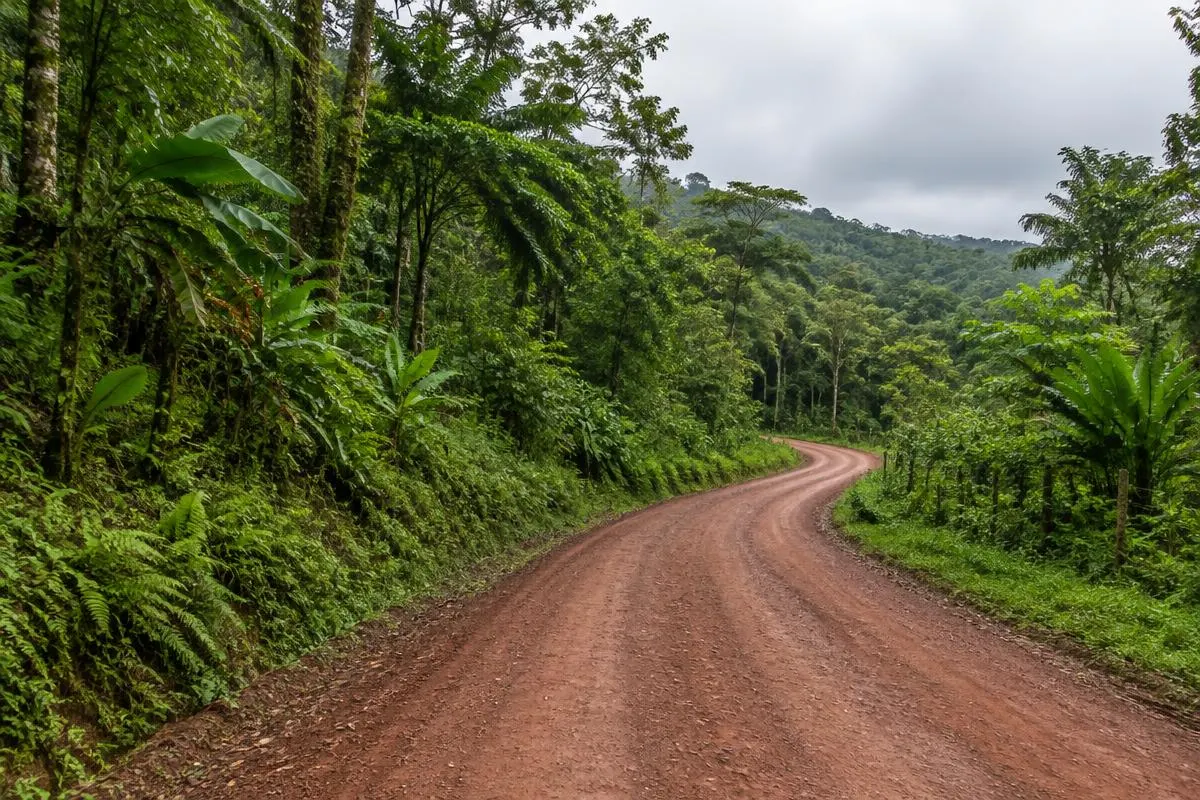 Unpaved rural road through rainforest in Costa Rica