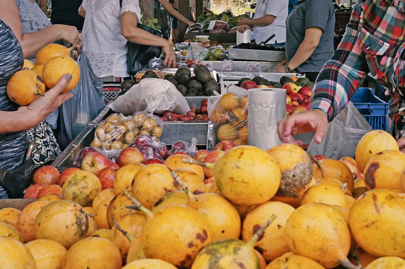 Expat couple at a weekly farmers market in Costa Rica