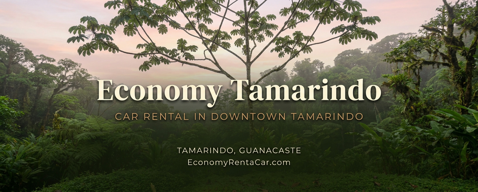 Economy Tamarindo