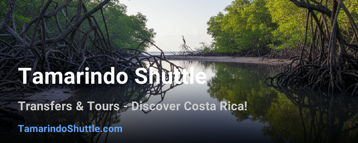 Tamarindo Shuttle