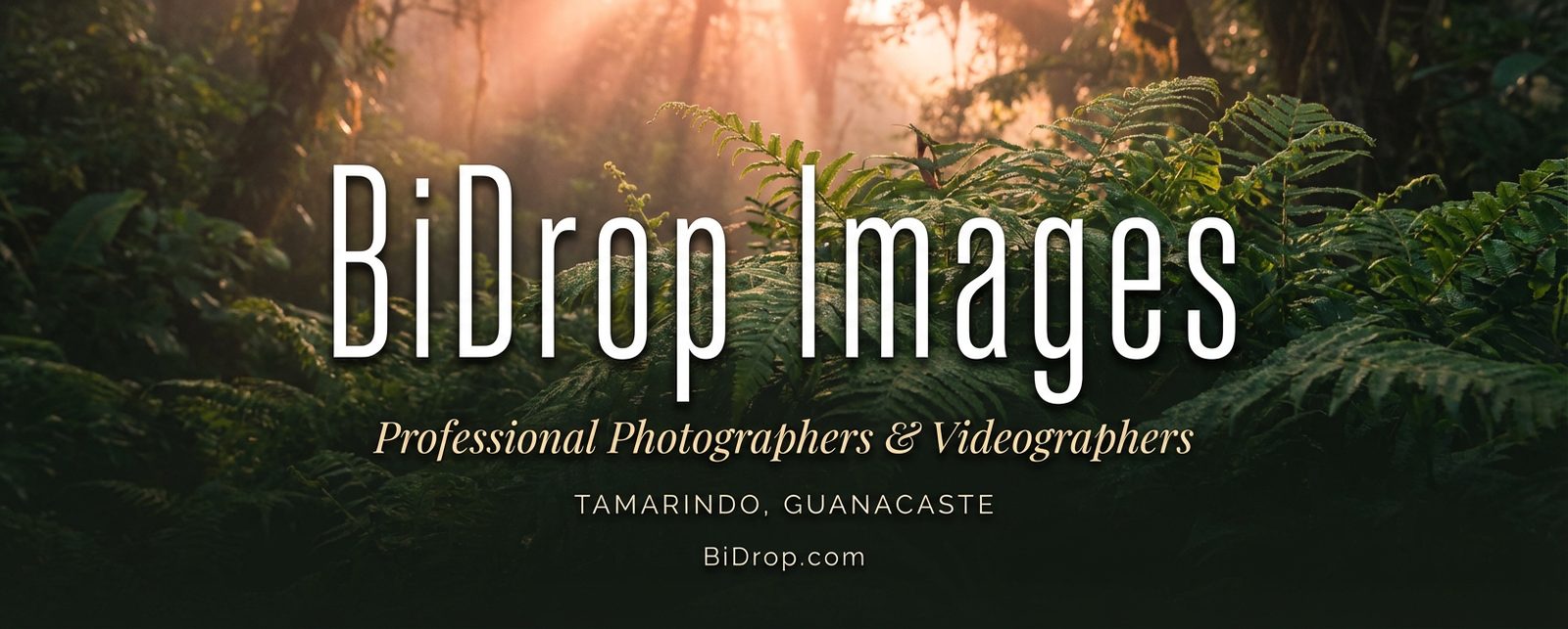 BiDrop Images