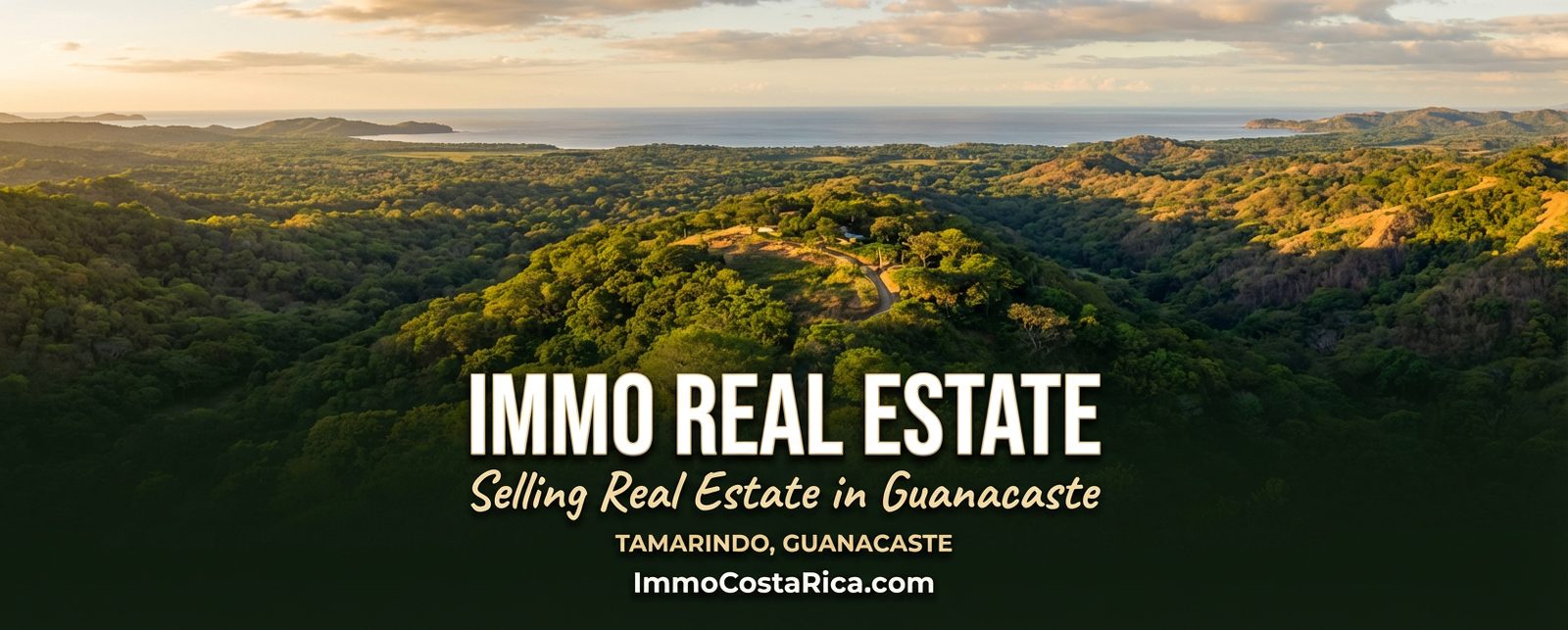 IMMO Real Estate