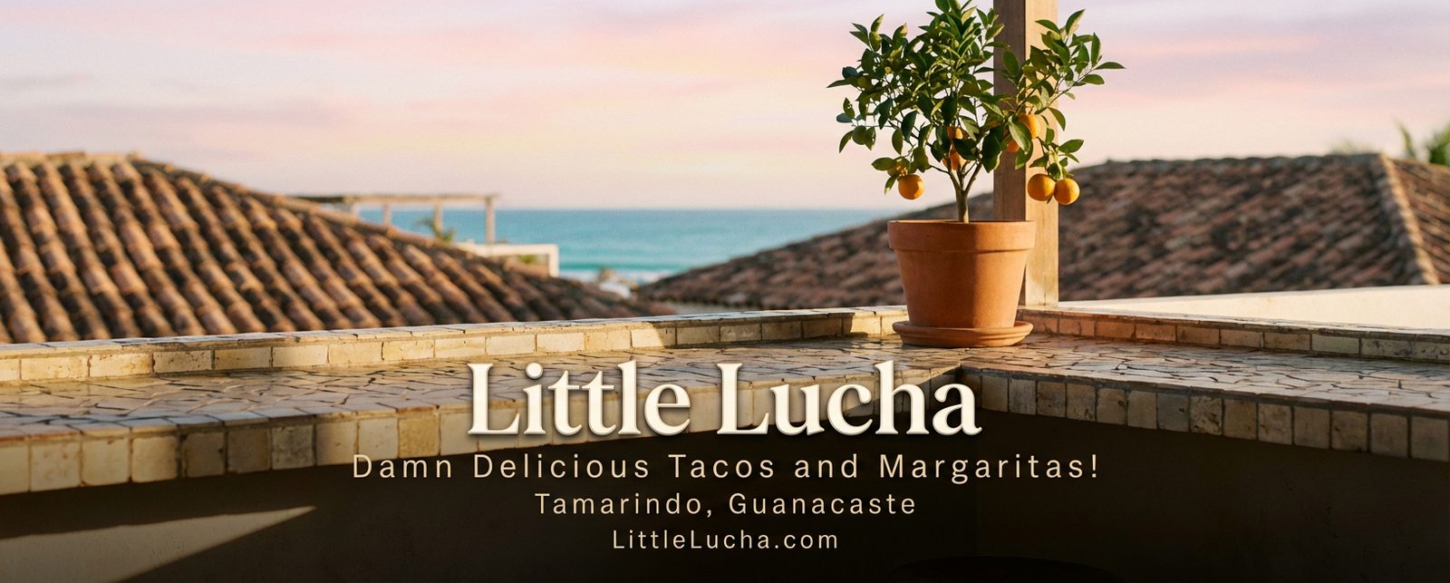 Little Lucha
