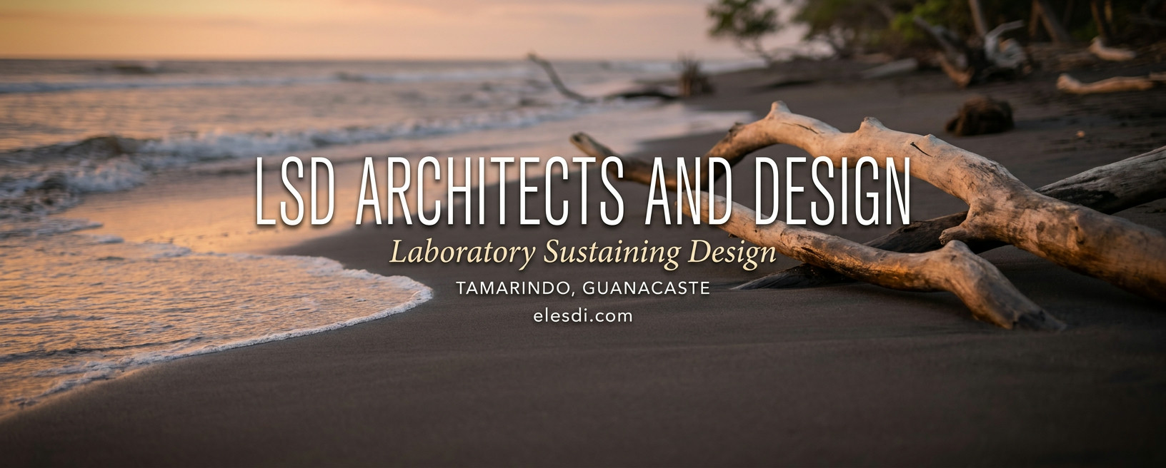 LSD Architects and Design