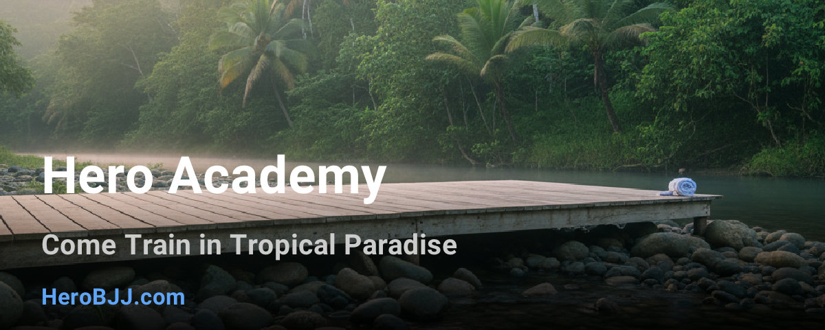 Hero Academy