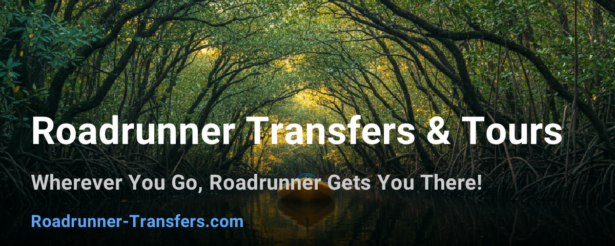 Roadrunner Transfers & Tours