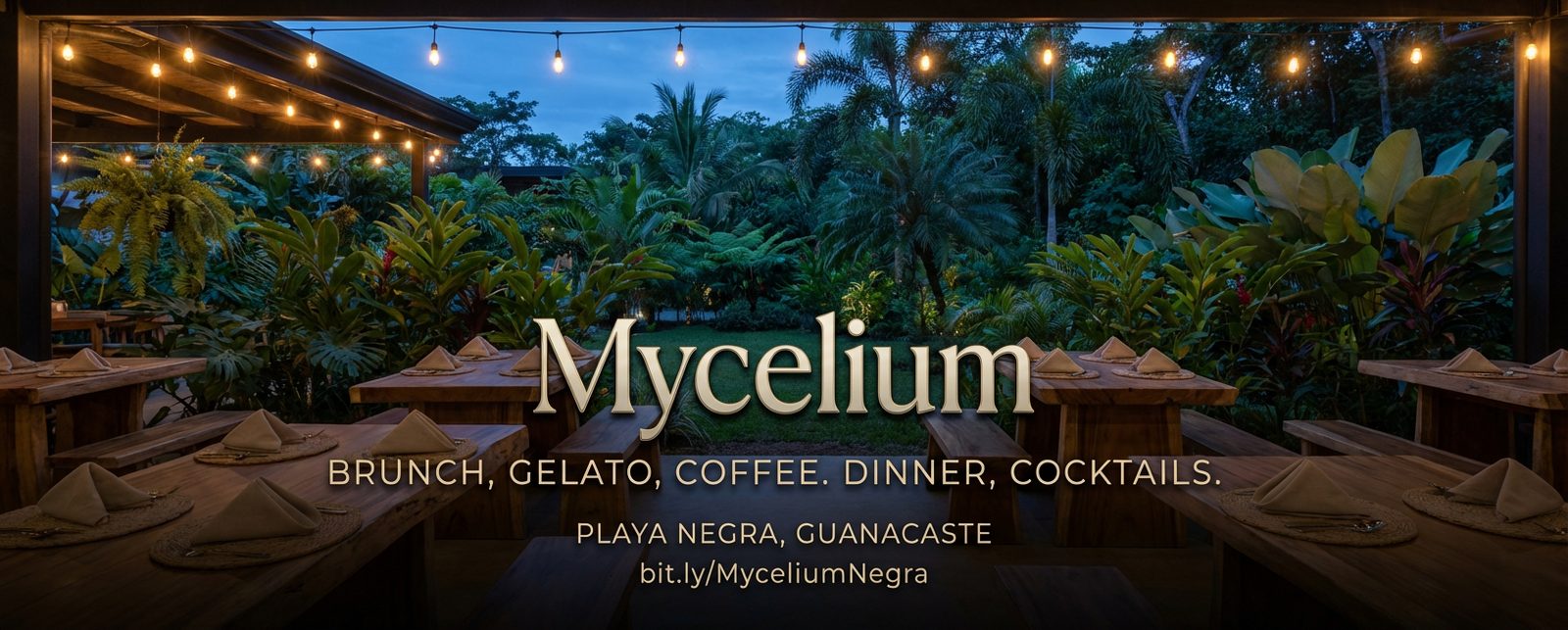 Mycelium