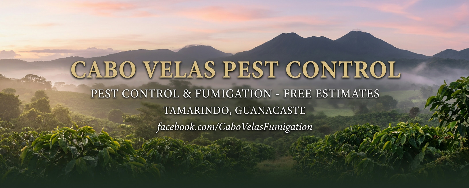 Cabo Velas Pest Control