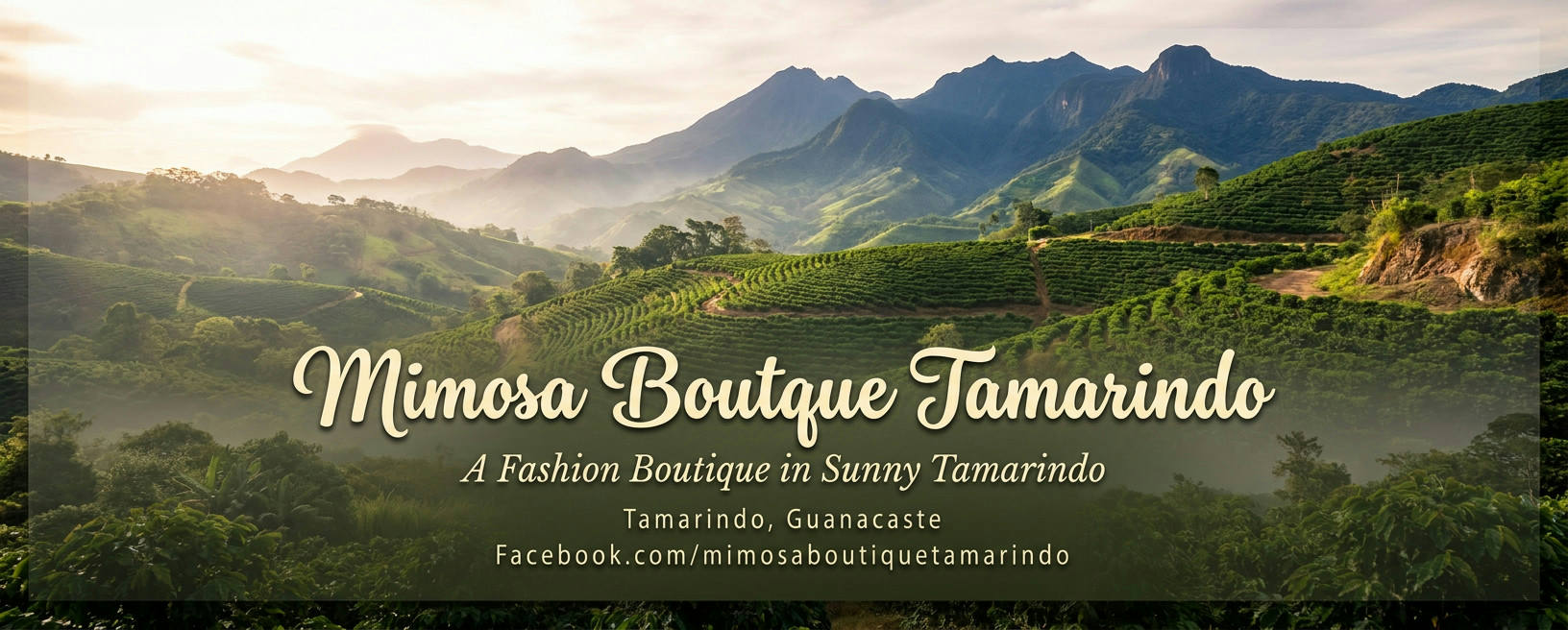 Mimosa Boutique Tamarindo