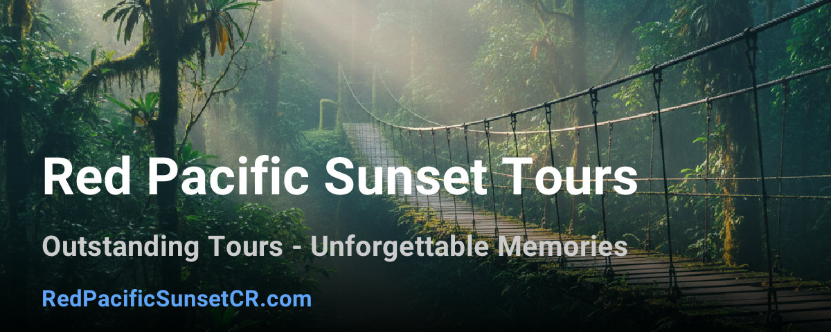 Red Pacific Sunset Tours