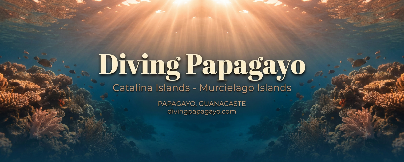 Diving Papagayo