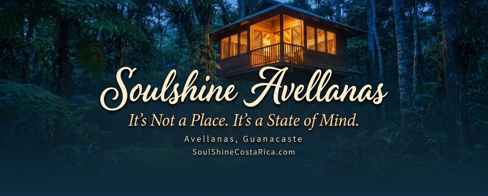 Soulshine Avellanas