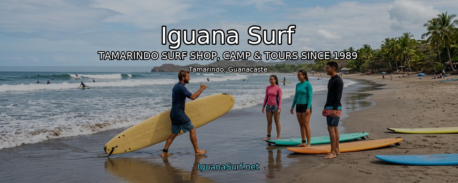Iguana Surf