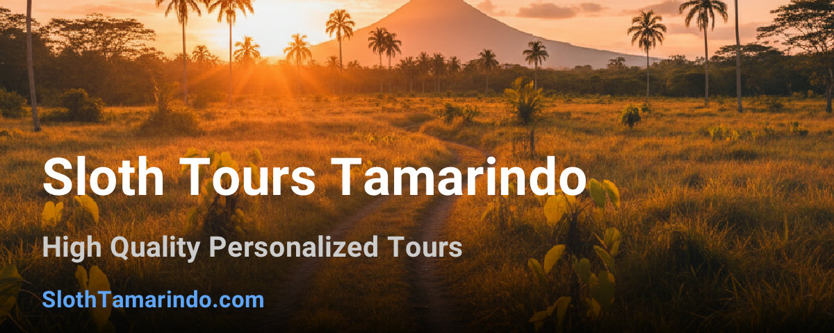 Sloth Tours Tamarindo